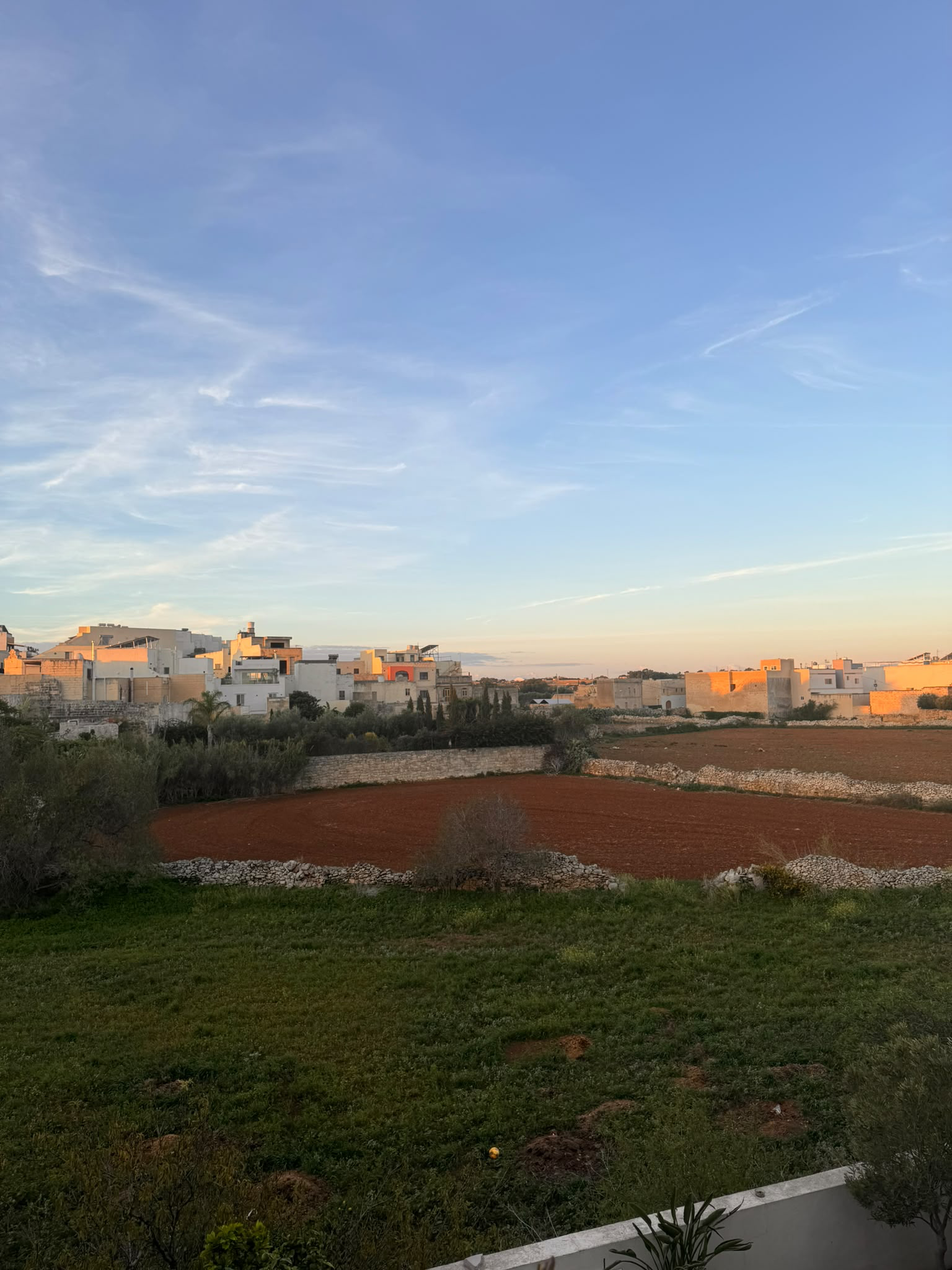 Qrendi fields and rubble walls in evening light